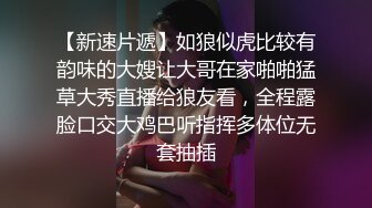 莉娜 让性感的房东成为我的炮友 91制片厂