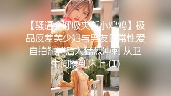 上海女神英語老師Alyssa衛生間跪舔后入啪啪