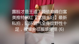 顶级调教大神【X020X宝爷】女人是不是都这样！上一秒好好的 见到J8整个人变了！速战速决衣服裤子都来不及不脱 (1)