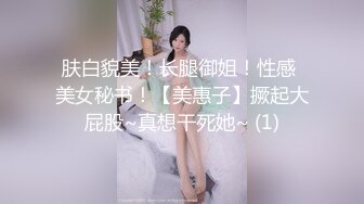 DemiFairyTW台湾女大「爹咪」演绎 DTW04-穿着旗袍的秘书若隐若现露出奶子，诱惑上司开房