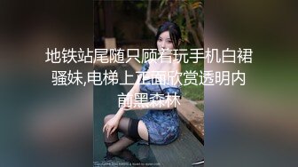 无套后入肥臀大骚逼、