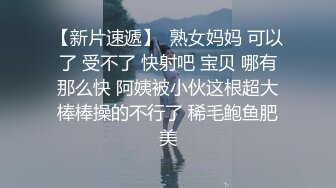 偷情人妻篇