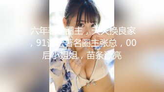 痴女からボクを救ってくれた真面目なクラス委员长がまさかの痴女化