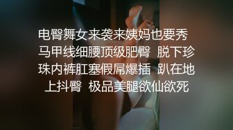 完成性投诉处理的资深办公室女士