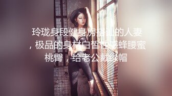 无骚老婆的激情