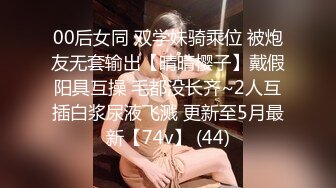 微胖小少妇享受快乐（二）