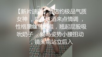 STP33040 家裏的小騷妻睡前來一啪給狼友看，全程露臉發騷口交大雞巴，讓大哥舔逼乳交爆草奶子，多體位無套抽插騷穴