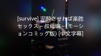 [survive] 泥酔させれば楽胜セックス～叔母编～(モーションコミック版) [中文字幕]