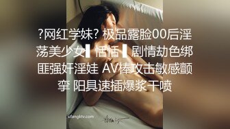 魅惑女仆