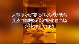 新人《嫖尽大江南北》午夜开车扫街广场搭讪两个颜值站街女回出租屋嫖宿