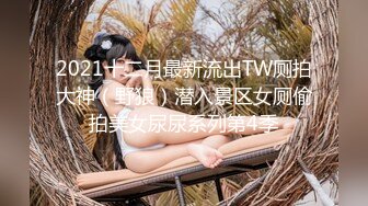 2021十二月最新流出TW厕拍大神（野狼）潜入景区女厕偷拍美女尿尿系列第4季