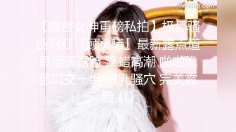 ⚫️⚫️最新8月无水重磅！穷人女神富人母狗，顶级外围绿茶婊【晴晴】露脸性爱私拍，各种情趣啪啪