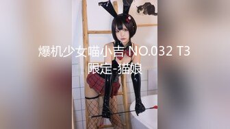 爆机少女喵小吉 NO.032 T3限定-猫娘