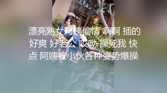 国产CD系列超美伪娘洛小熙镜前戴着尾巴肛塞撸射巨大仙女棒