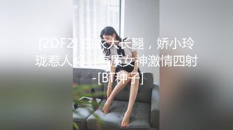 BJ叶林230718-1