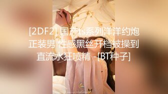 白百合换脸AI-女仆服务第一季