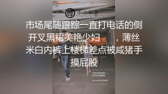 沈阳重毛少妇