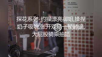 探花系列-约操漂亮御姐,揉捏奶子吸吮,张开双腿一顿舔逼,大屁股骑乘抽插