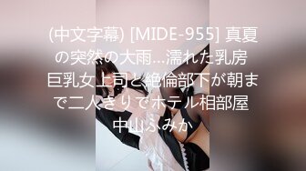 STP24520 麻豆傳媒MD0140-2 家有性事愛在身邊 -蜜苏 VIP2209