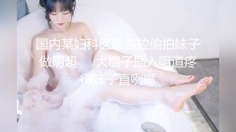 小玩具插老婆