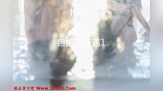 [CPDE-051] 最強属性 51 横宮七海