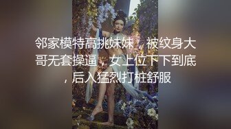 OnlyFans亚裔博主【Fanny Ly李月如】啪啪自慰付费订阅视频4V