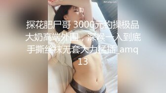 探花肥尸哥 3000元约操极品大奶高端外围，深喉一入到底手撕丝袜无套大力猛插_amq13