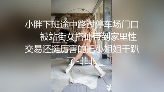 小胖下班途中路过停车场门口❤️被站街女搭讪带到家里性交易还挺厉害的把小姐姐干趴了-菲菲