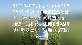 《极品反差婊☀️私拍》万人求档OnlyFans上流高颜气质女神【奥义】不雅私拍第二部☀️金主们的精盆泄欲器3P视觉盛宴 (7)