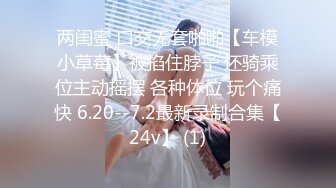 00后大奶子外围，调情调的下面流了好多水