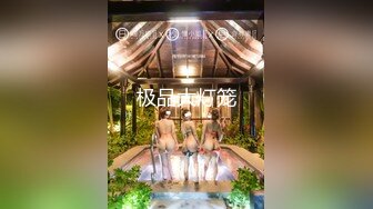 即含即插ＯＫ的绝对领域侍奉女仆