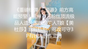 【新片速遞 】 商场女厕全景厕拍连衣裙美女好大的一片黑森林⭐小穴被覆盖